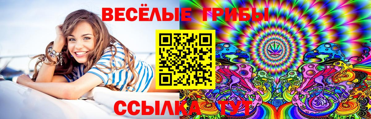 Галлюциногенные грибы ЛСД Тула